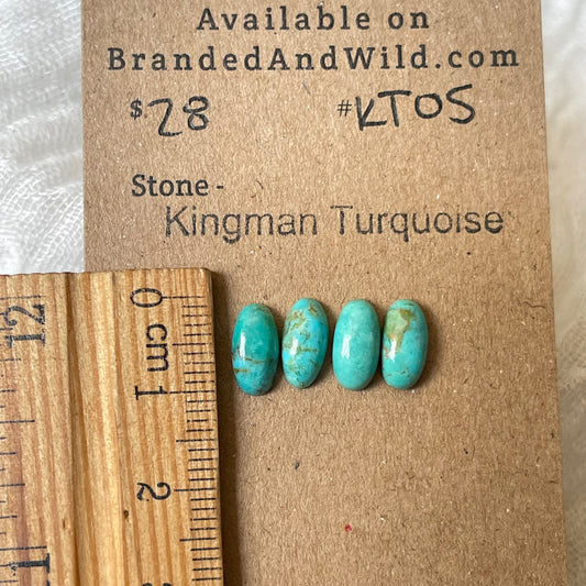 Kingman Turquoise Cabochon - KT05 73A1C301-266E-4B0F-A795-BF134AF23CAF Brandedandwild.com