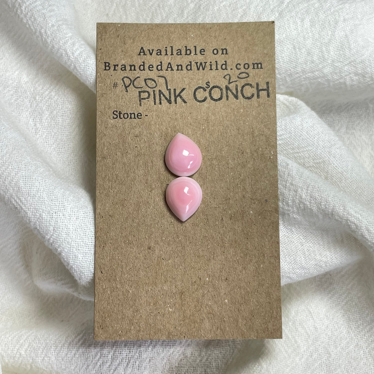 Pink Conch Cabochon - P007 73B966CA-7499-4DDA-85DF-D4D7E80A1717 Brandedandwild.com