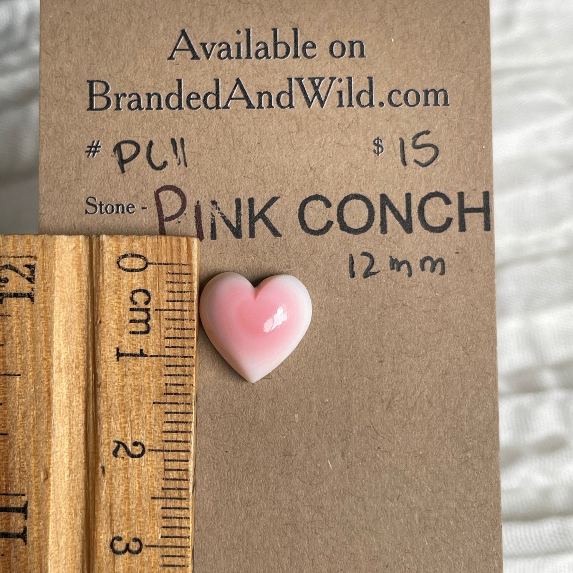 Pink Conch Cabochon - PC11 73C590B1-525A-4EEF-B89A-653D1035C562 Brandedandwild.com