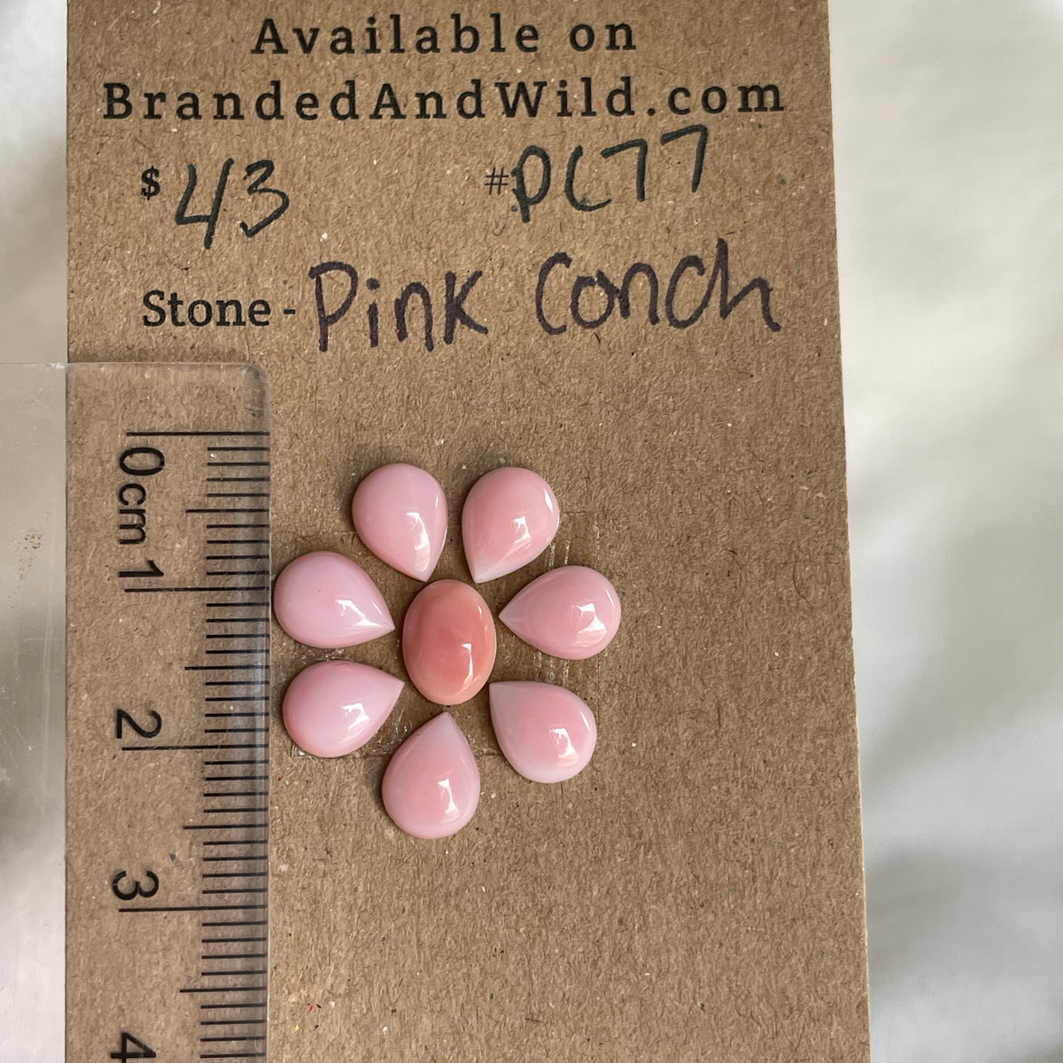 Pink Conch Cabochon - PC77 73D36E82-82F2-4105-8738-A2E7D3DFABAA Brandedandwild.com