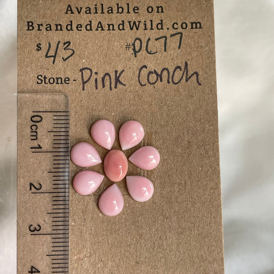 Pink Conch Cabochon - PC77 73D36E82-82F2-4105-8738-A2E7D3DFABAA Brandedandwild.com