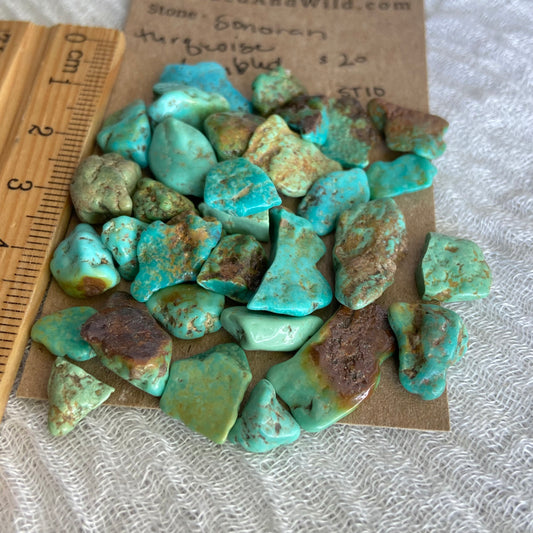 Rough Tumbled Sonoran Gold Turquoise - #ST10