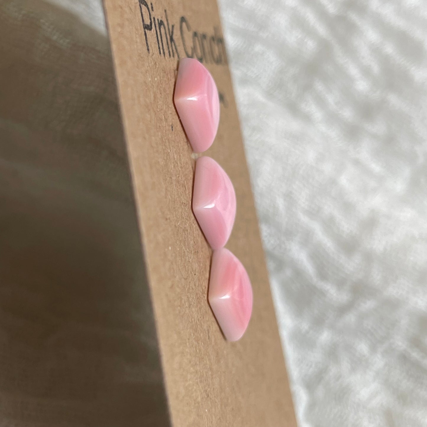 Pink Conch Cabochon - PC22