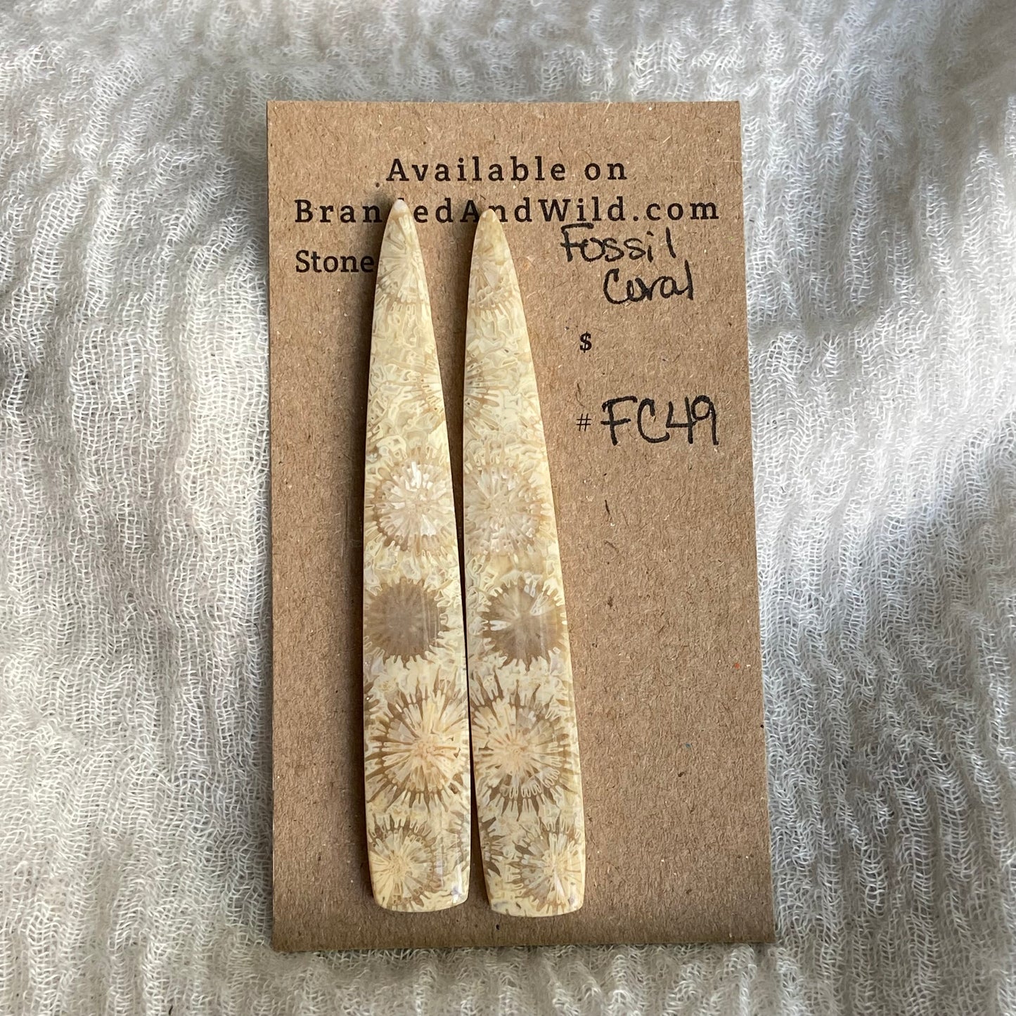 Fossil Coral Cabochon - FC49