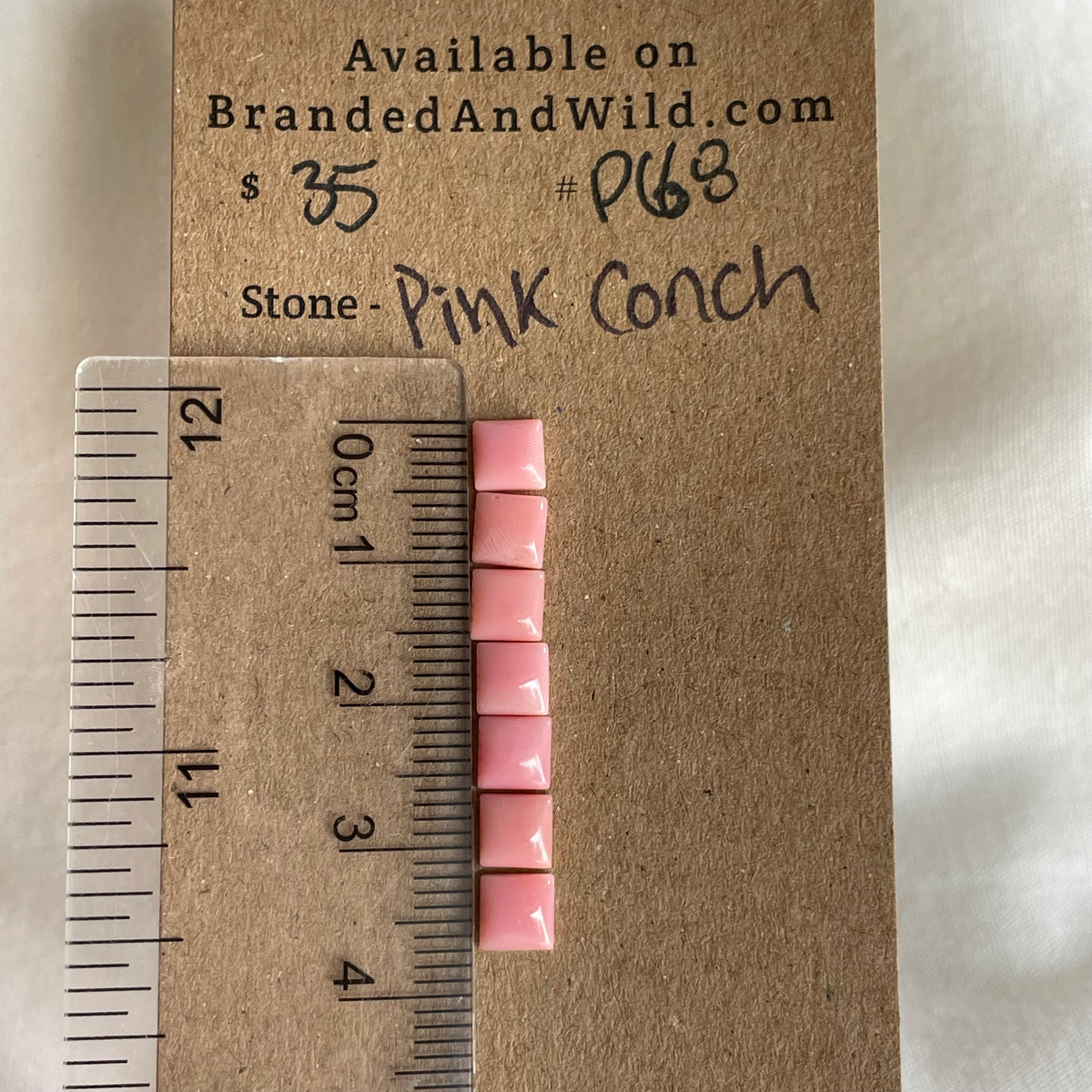 Pink Conch Cabochon - PC68 73F7B2C3-7529-4136-AB26-E85683F81017 Brandedandwild.com