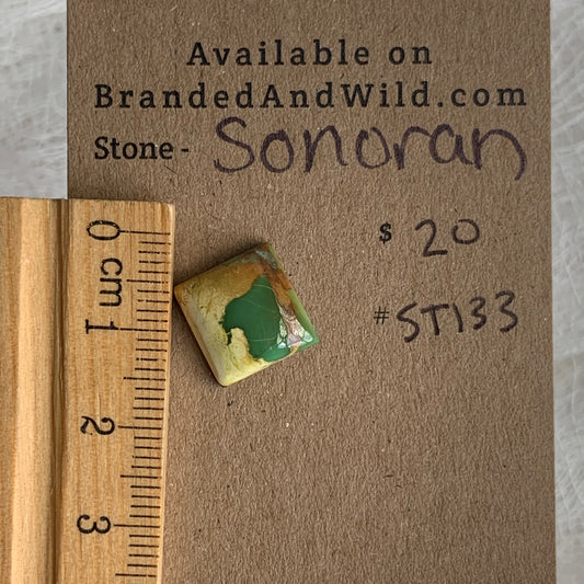 Sonoran Turquoise Cabochon - ST133