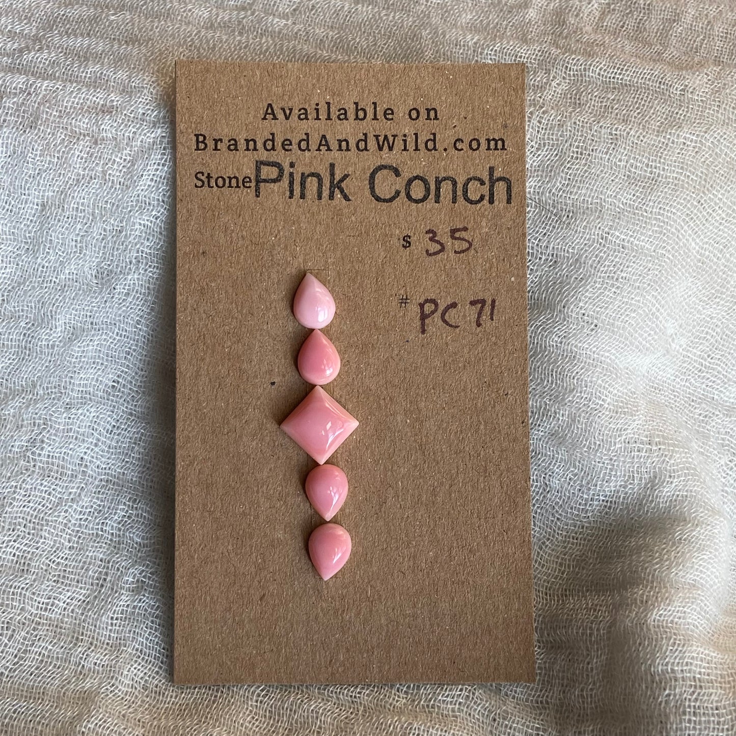 Pink Conch Cabochon - PC71