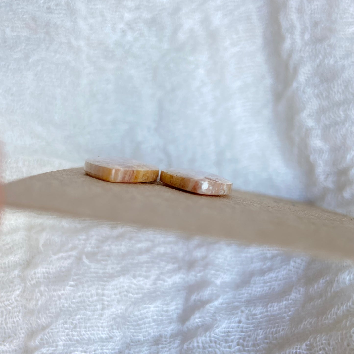 Fossil Coral Cabochon - FC73