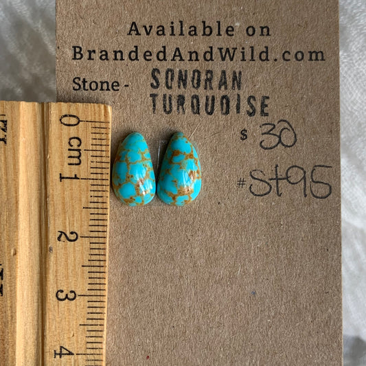 Sonoran Turquoise Cabochon - ST95