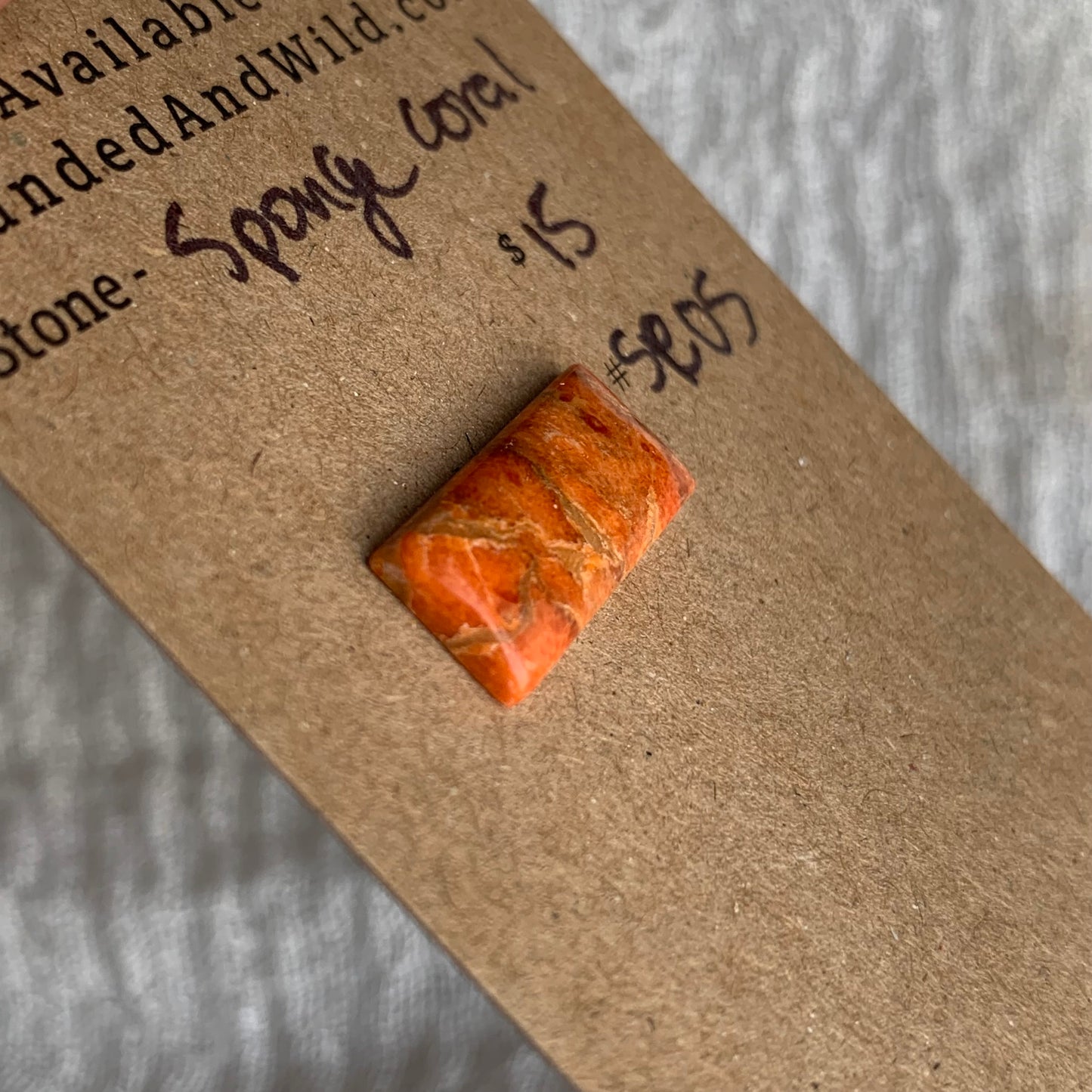 Sponge Coral Cabochon - SC05