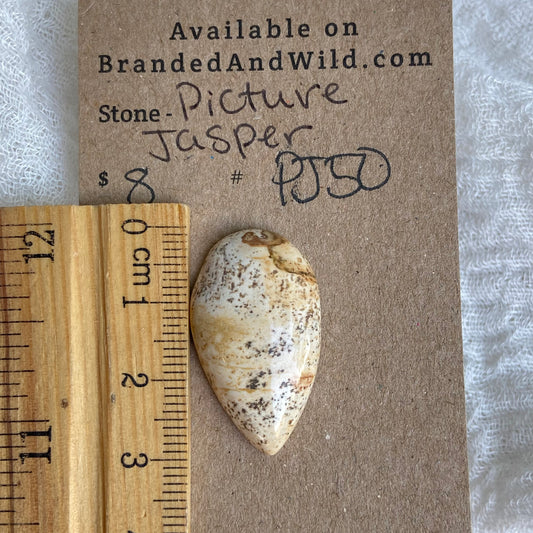 Picture Jasper Cabochon - PJ50