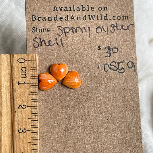 Spiny Oyster Shell Cabochon - OS59 74B93C4D-60FE-4339-8443-BD0D5090CCD0 Brandedandwild.com