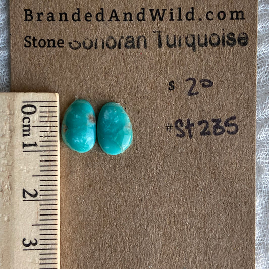 Sonoran Turquoise Cabochon - ST235