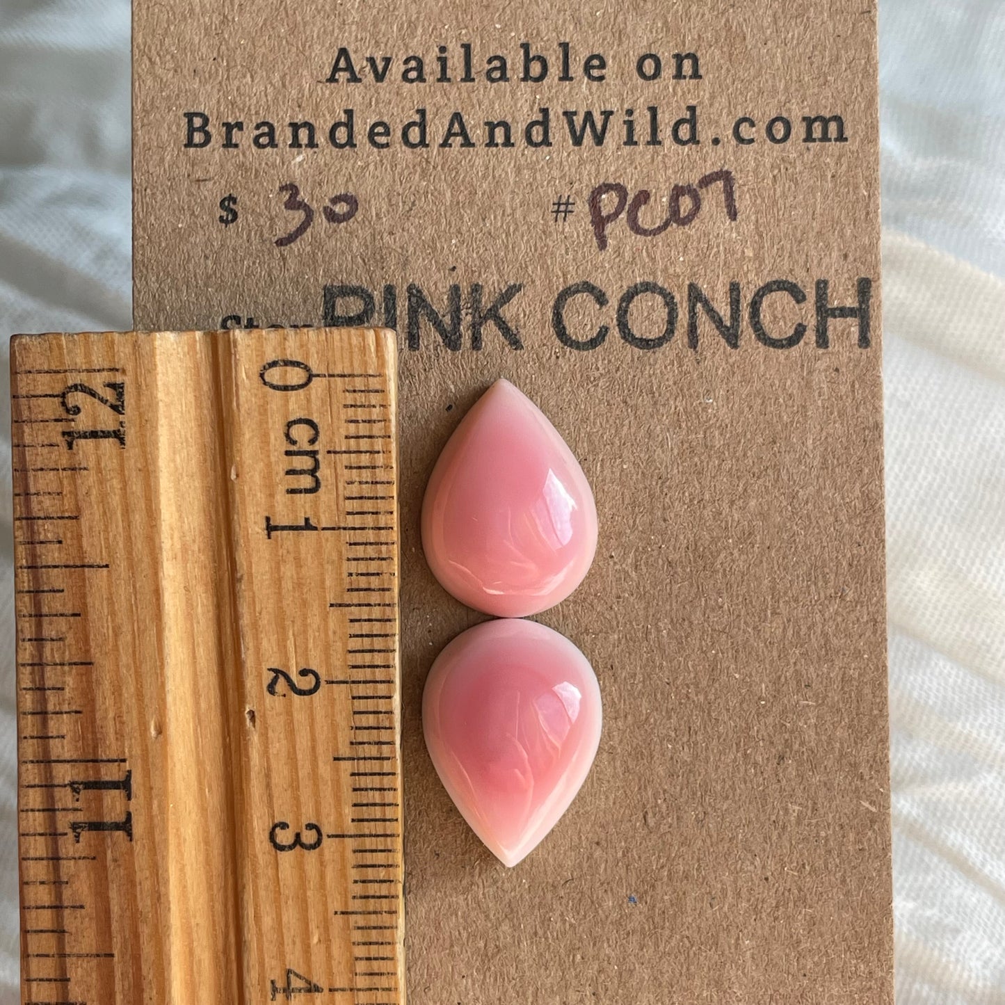 Pink Conch Cabochon - PC07 750168D7-3D59-4AE8-99AA-F863CC1058AF Brandedandwild.com