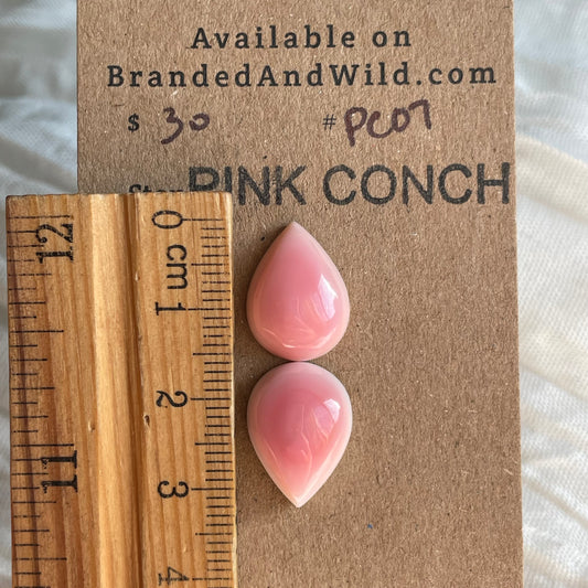 Pink Conch Cabochon - PC07 750168D7-3D59-4AE8-99AA-F863CC1058AF Brandedandwild.com