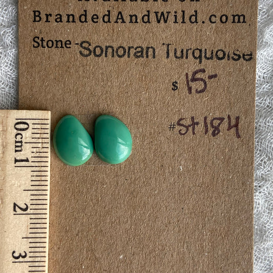Sonoran Turquoise Cabochon - ST184