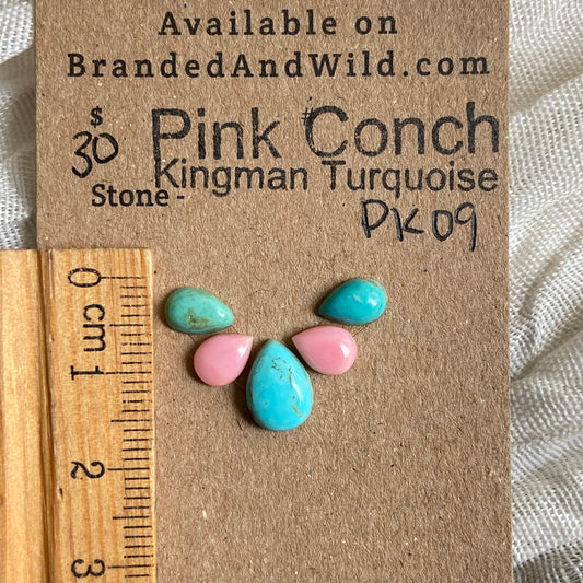 Pink Conch / Kingman Turquoise Cabochon - PK09 75267853-6DE1-492C-8CDC-9BB9EA3C2033 Brandedandwild.com