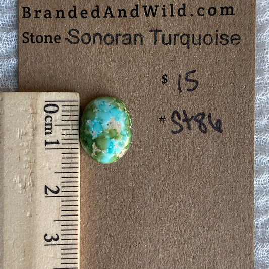 Sonoran Turquoise Cabochon - ST86