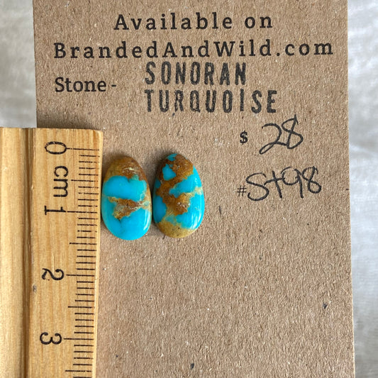 Sonoran Turquoise Cabochon - ST98