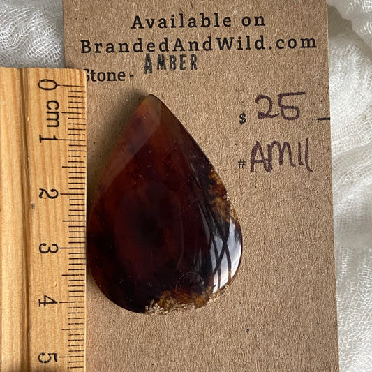 Amber Cabochon AM11