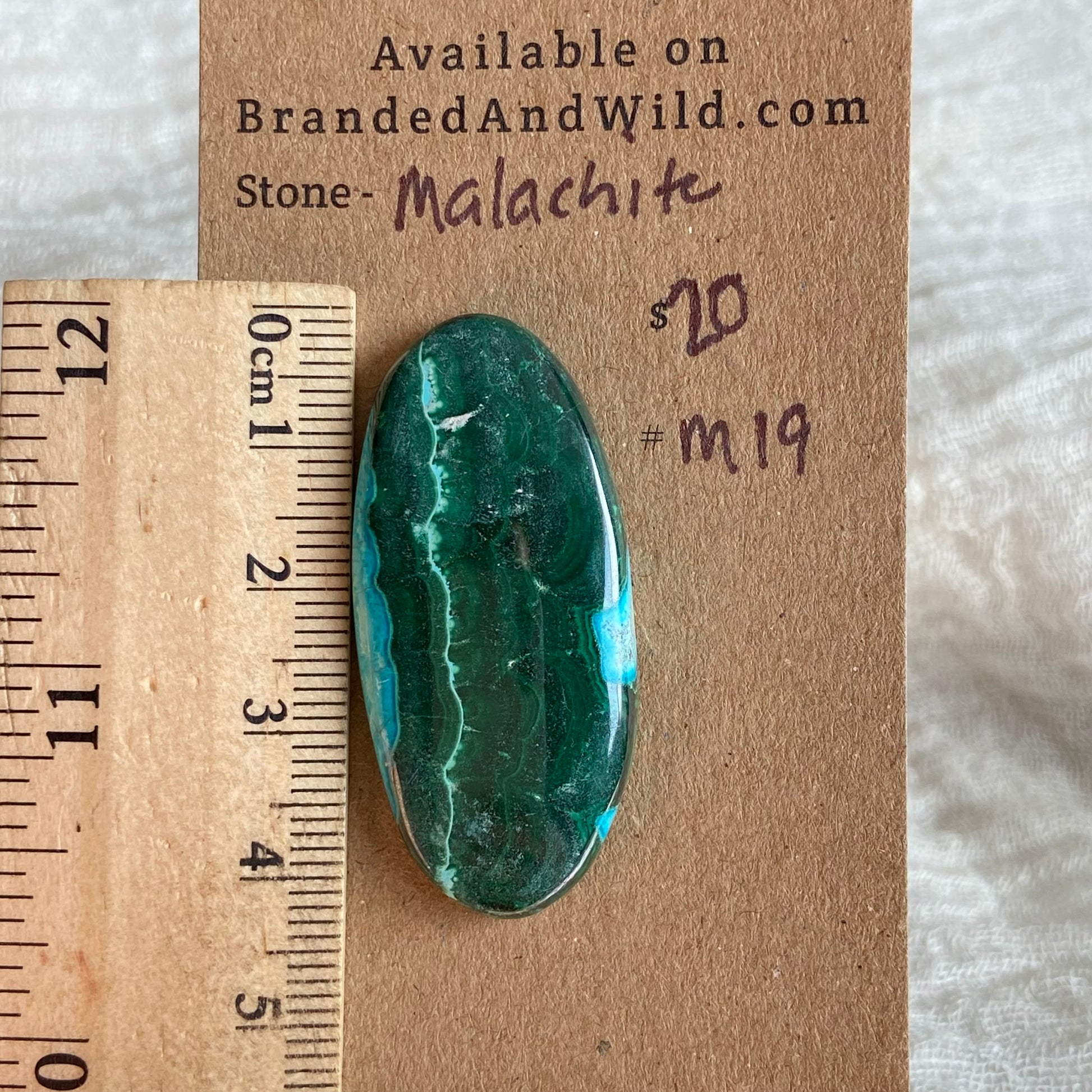 Malachite Cabochon - M19 757A310C-3EAD-4686-B603-0F6AC9FC9107 Brandedandwild.com