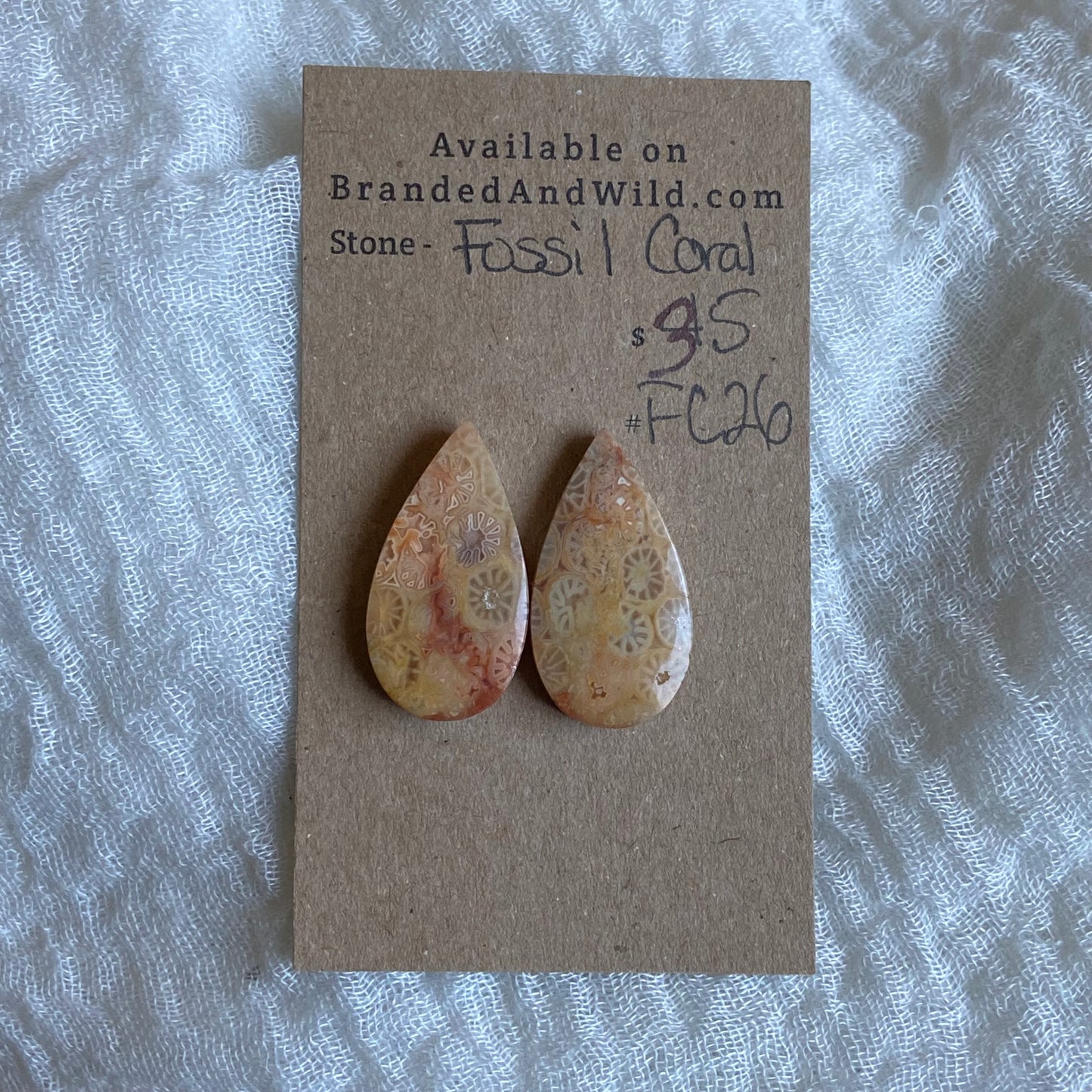 Fossil Coral Cabochon - FC26