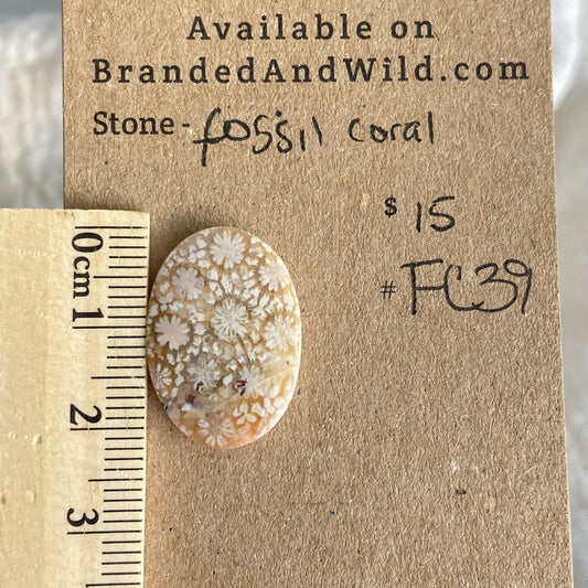 Fossil Coral Cabochon - FC39