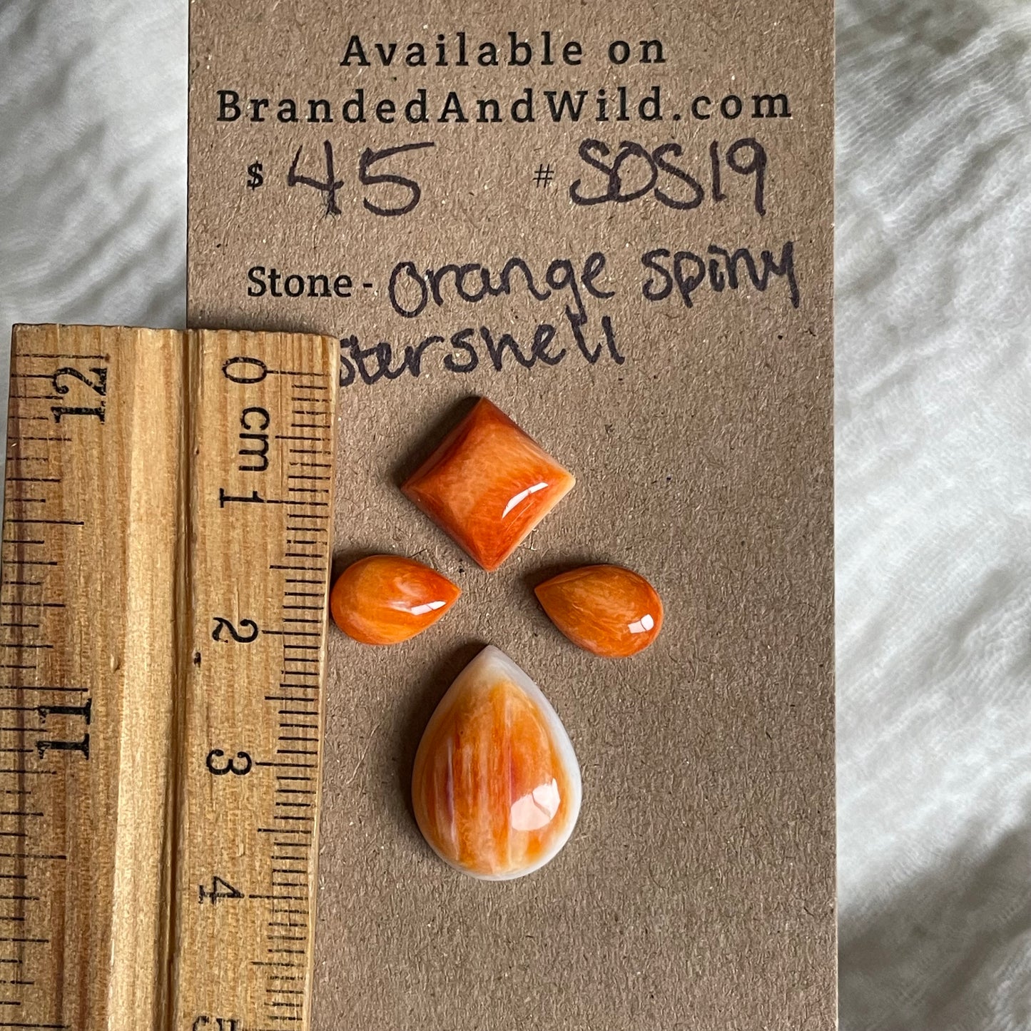 Spiny Oyster Shell Cabochon - SOS19 75CC4690-9D76-4EAD-9785-4398DBE7818F Brandedandwild.com