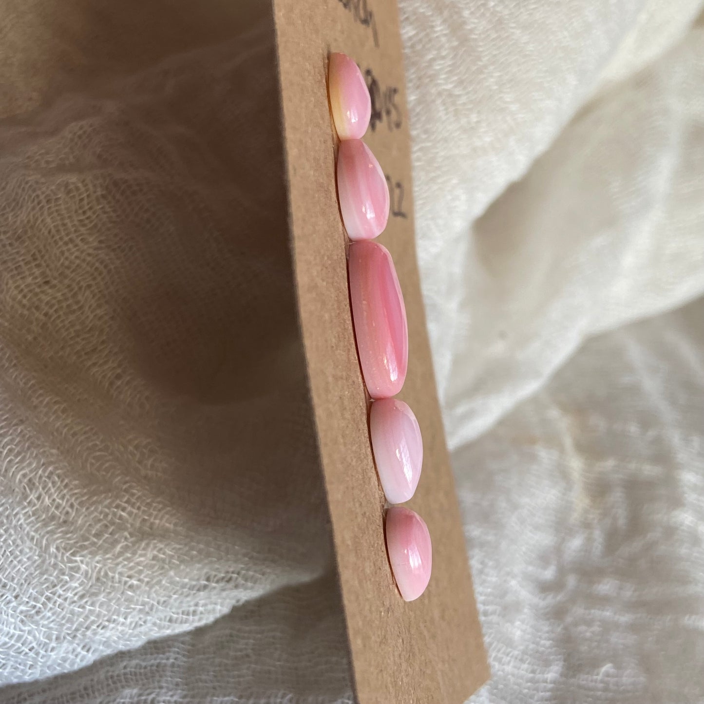 Pink Conch Cabochon - PC22