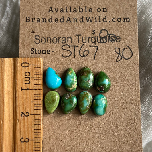 Sonoran Turquoise Cabochon - ST67 763F95BE-C29B-4728-B8D0-F2F47D70EF9B Brandedandwild.com