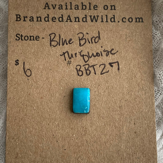 Blue Bird Turquoise Cabochon - BBT27