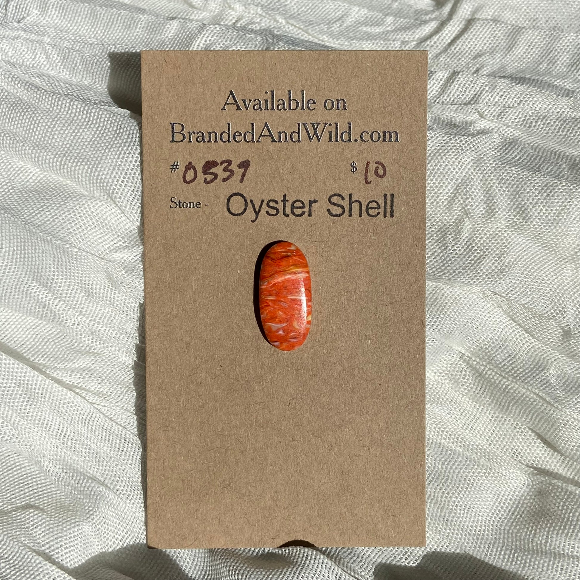 Oystershell Cabochon - OS39 766D0D76-0B51-47DB-BA83-726925159787 Brandedandwild.com