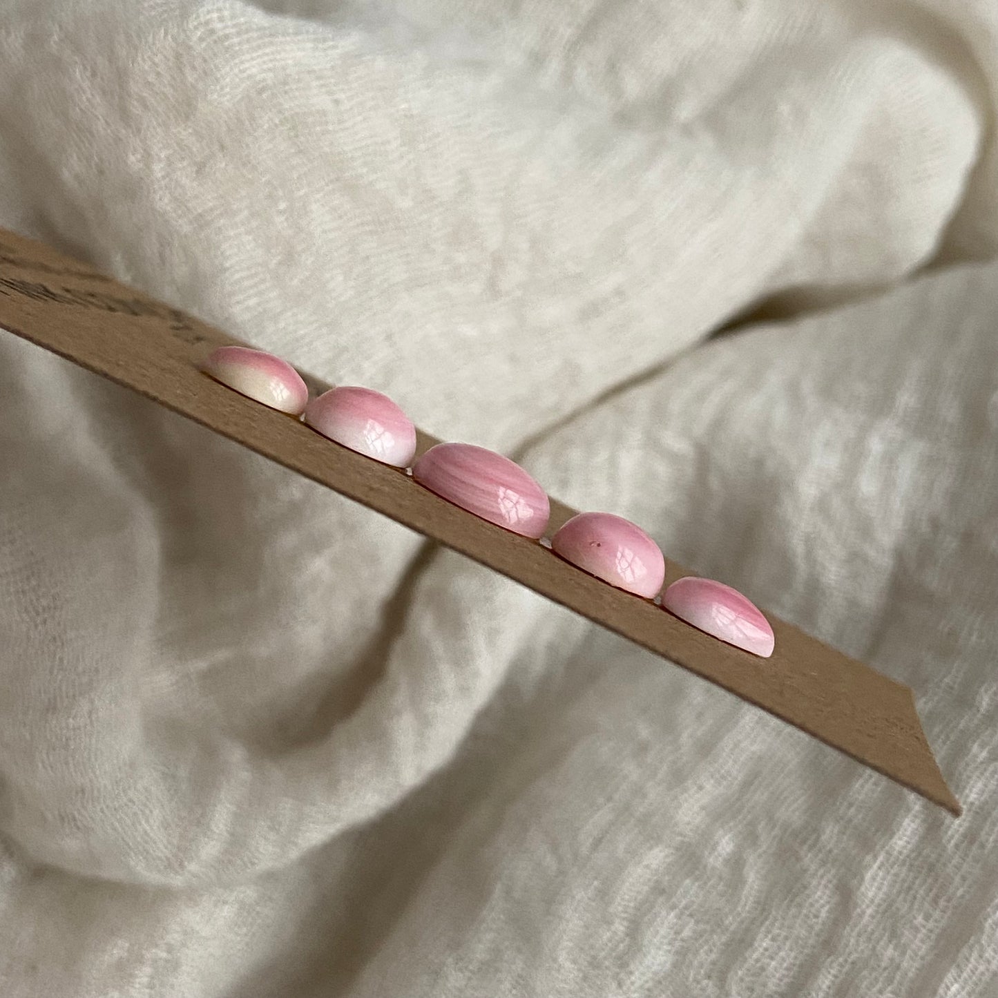 Pink Conch Cabochon - PC69