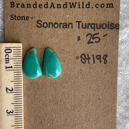 Sonoran Turquoise Cabochon - ST198