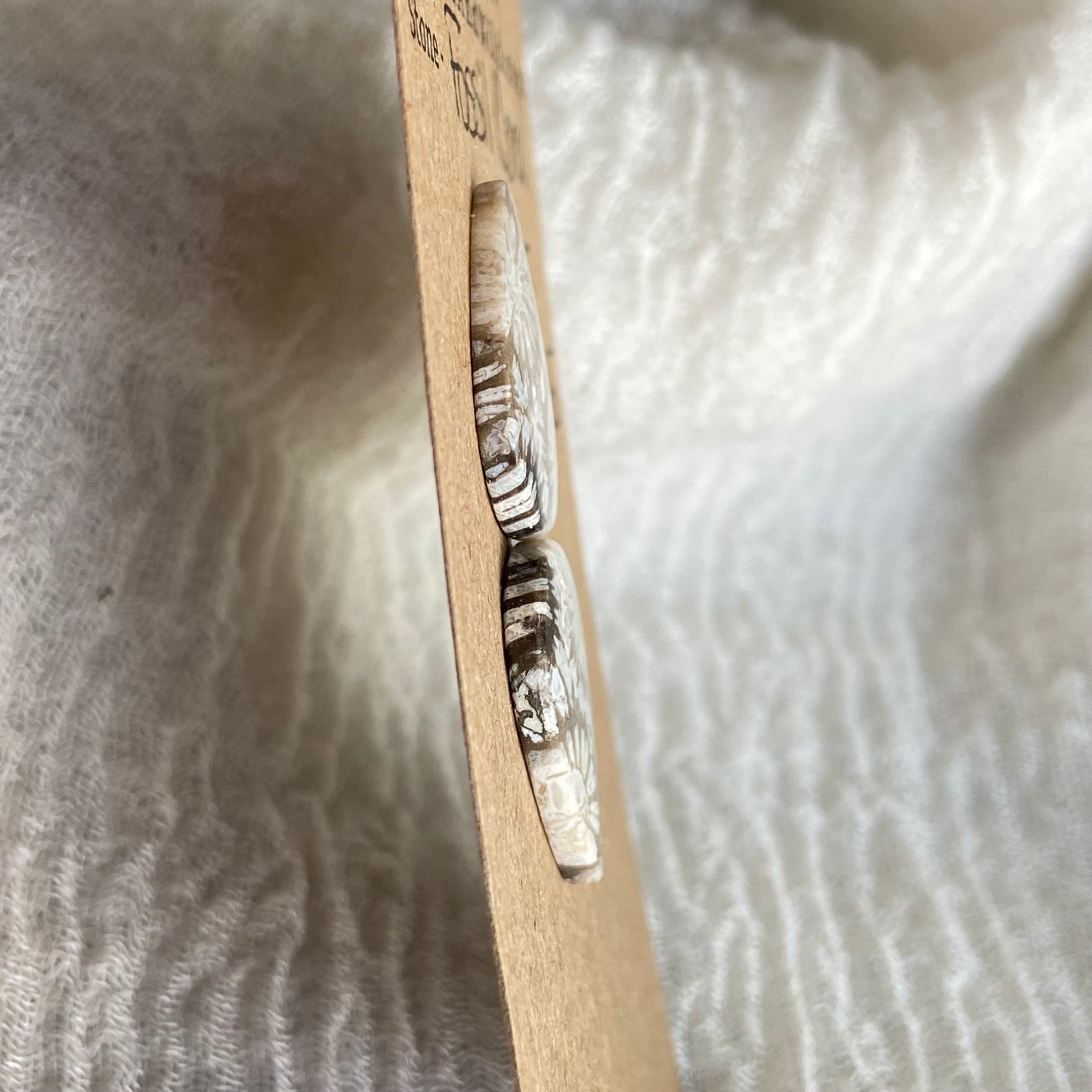 Fossil Coral Cabochon - FC65