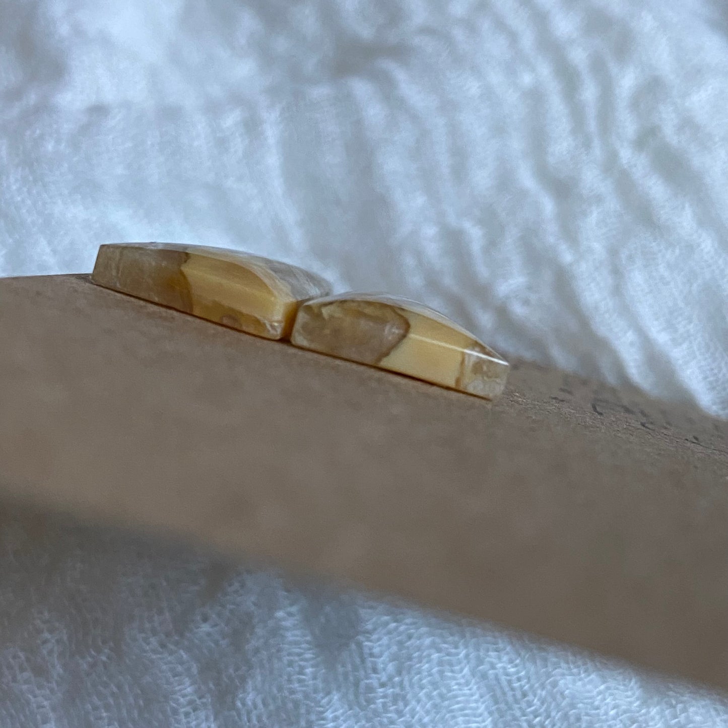 Fossil Coral Cabochon - FC58