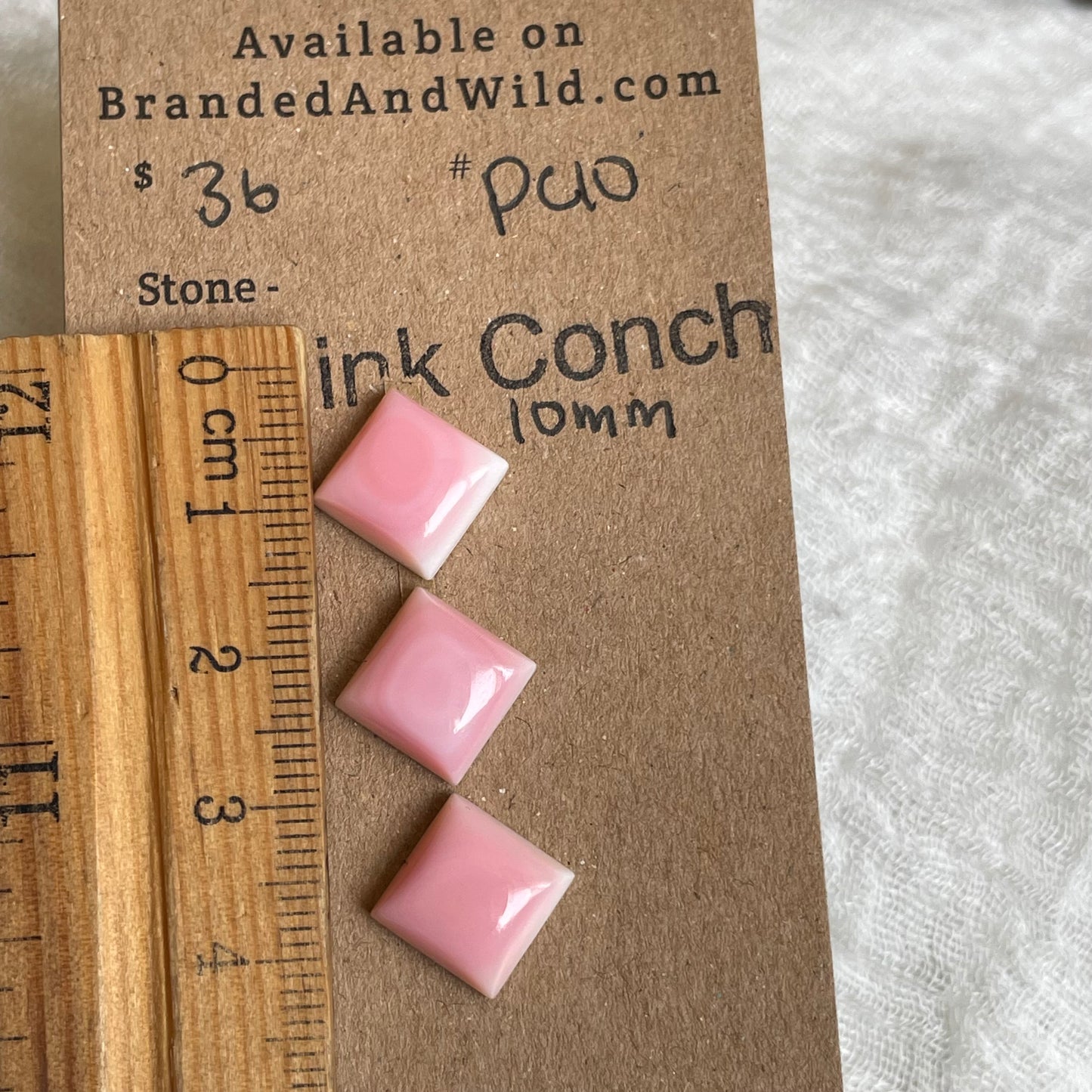 Pink Conch Cabochon - PC10