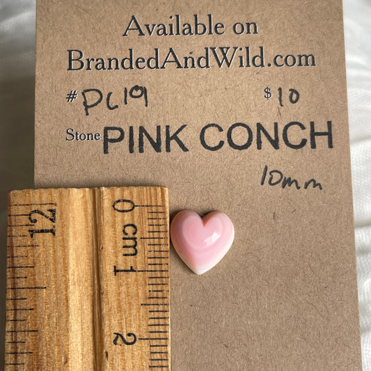 Pink Conch Cabochon - PC19 76C32B76-A63A-494F-BBC4-3756A4E0C23B Brandedandwild.com
