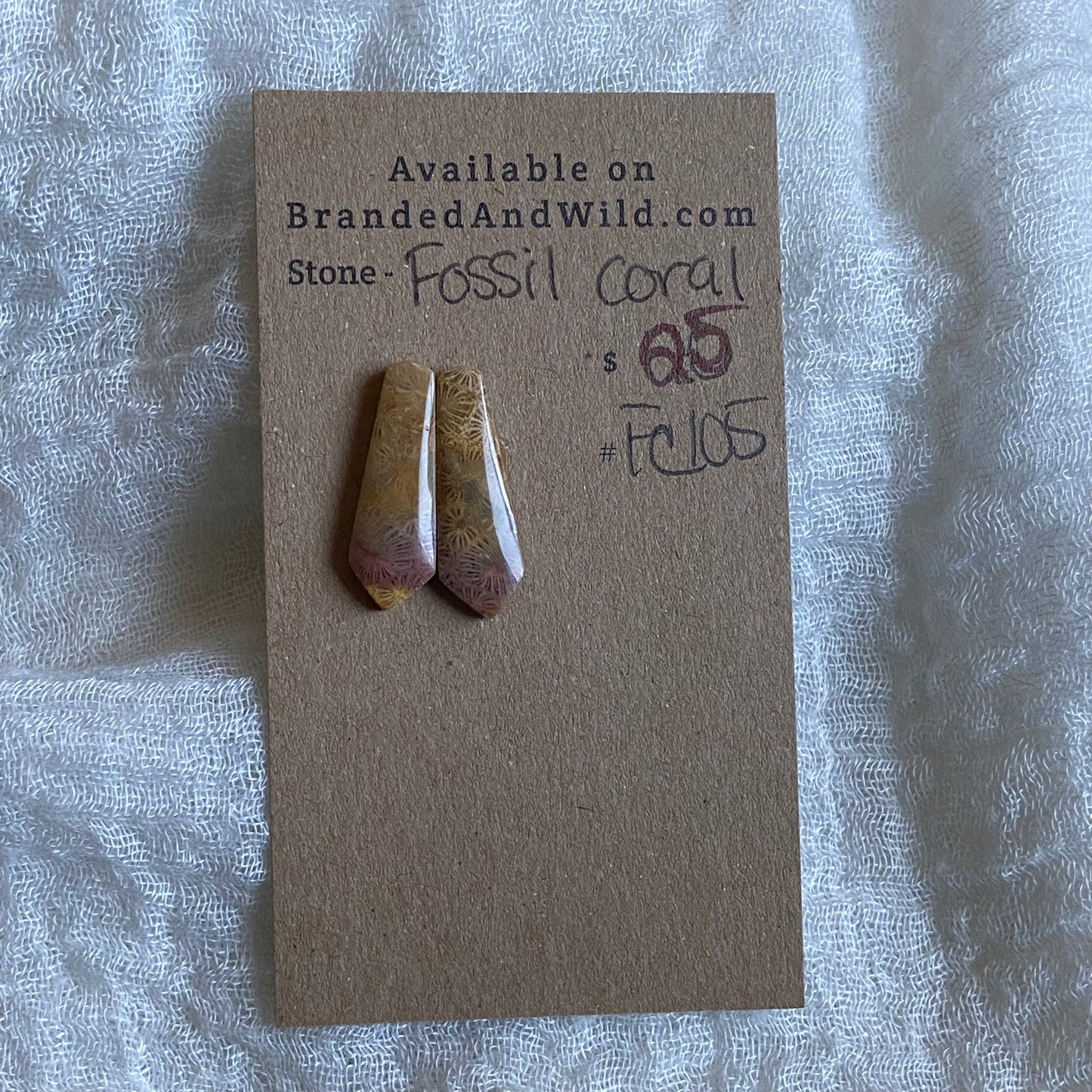 Fossil Coral Cabochon - FC105
