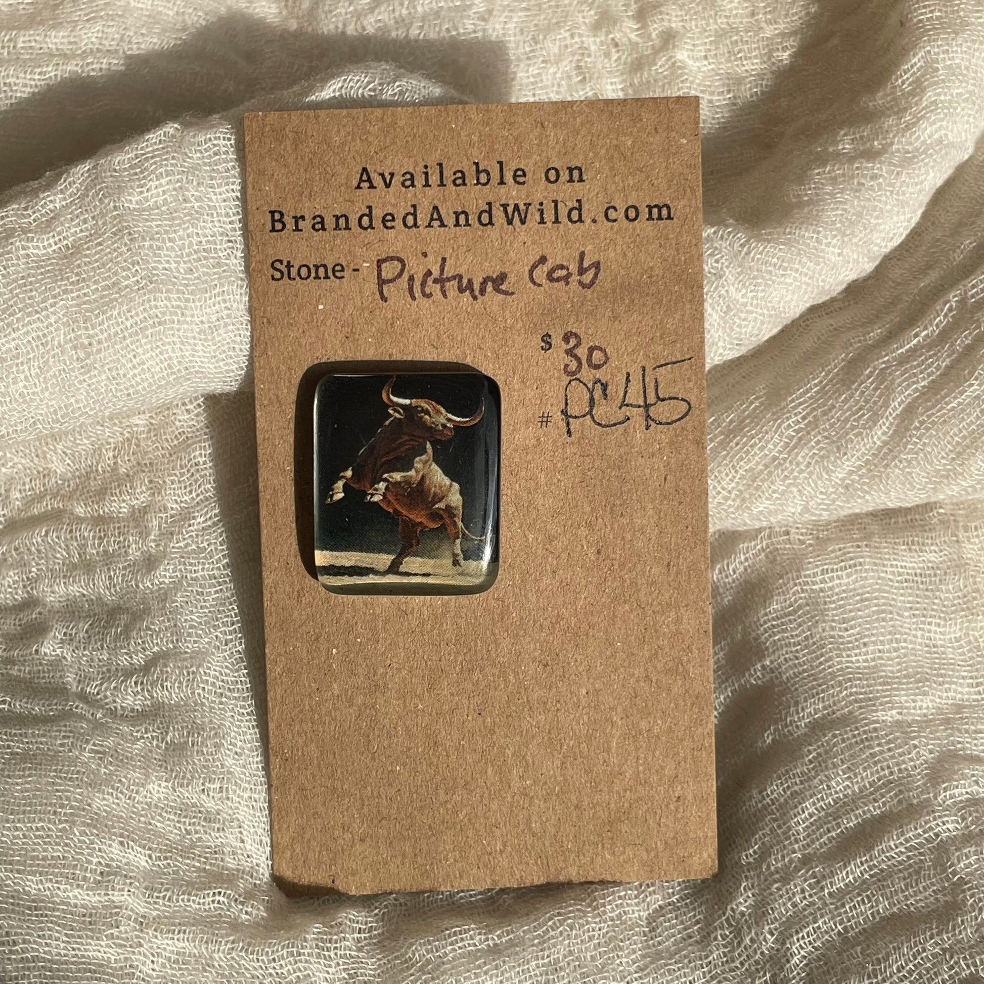 Picture Cabochon - Cabochon - PC45 770772BA-F934-400F-A392-15F02ED32B16 Brandedandwild.com