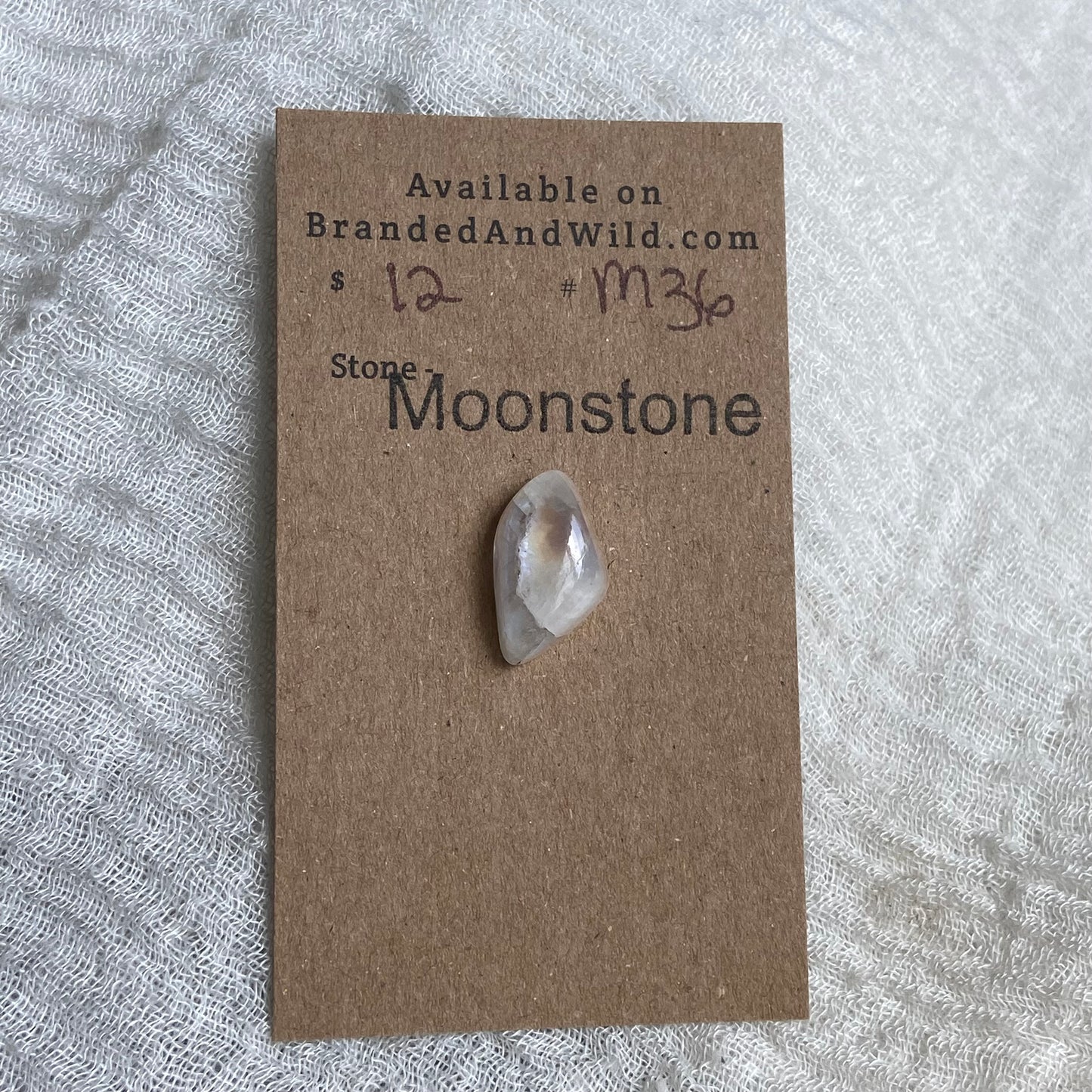 Moonstone Cabochon - M36