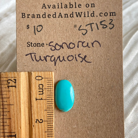 Sonoran Turquoise Cabochon - ST153 77335188-7448-43AA-8DE0-59FC762D613D Brandedandwild.com