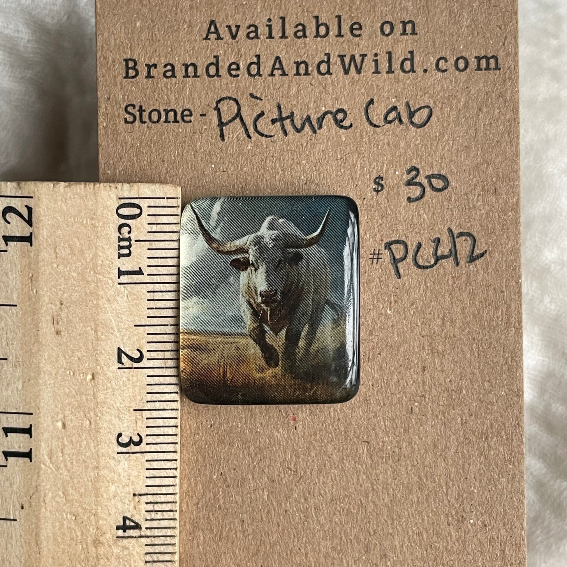 Picture Cabochon - Cabochon - PC42 7758D4C1-6491-48D9-B1E1-A340B77D1AAE Brandedandwild.com