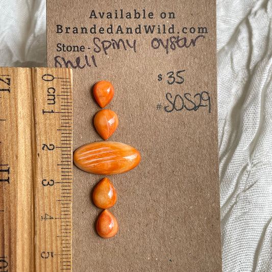 Spiny Oyster Shell Cabochon - SOS29 777A7F6F-4485-4935-8F1F-15BB44BE888D Brandedandwild.com
