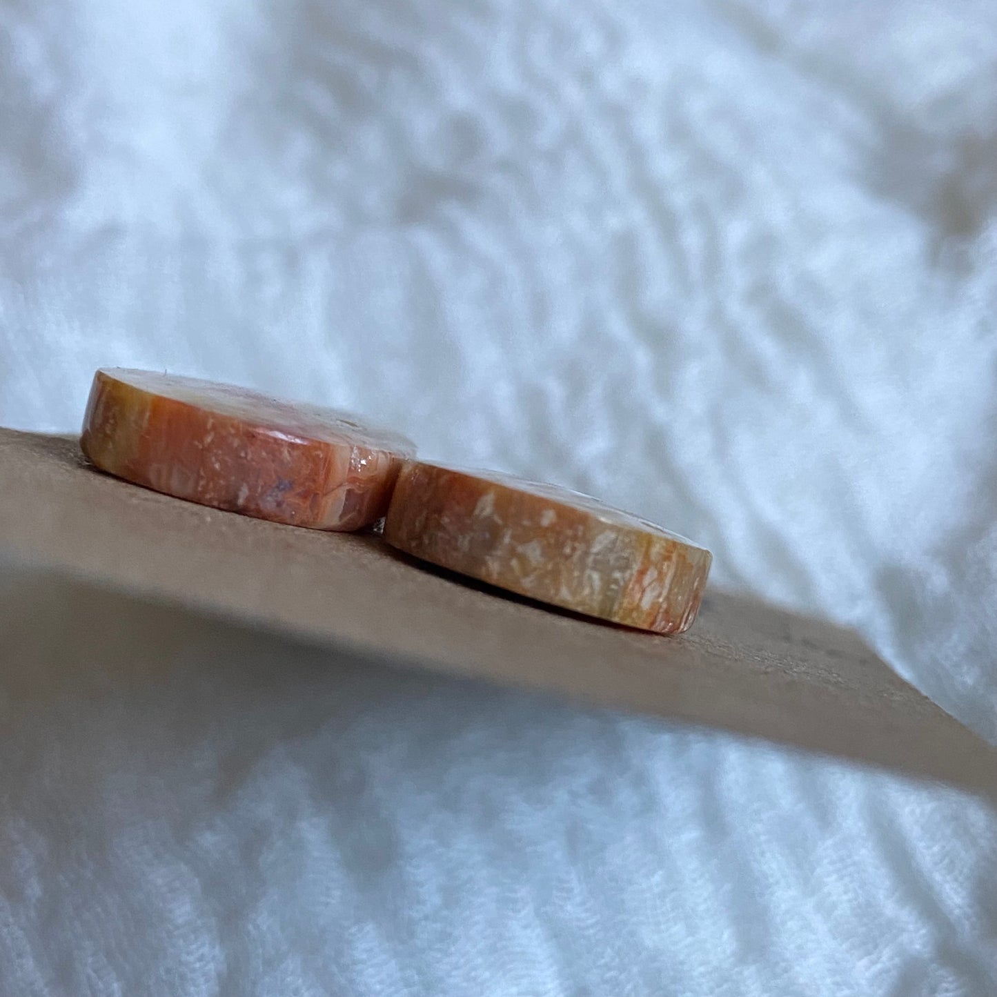 Fossil Coral Cabochon - FC26
