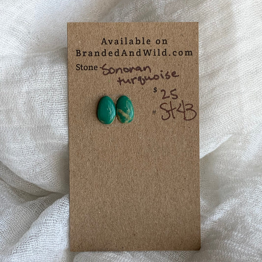 Sonoran Turquoise Cabochon - ST43