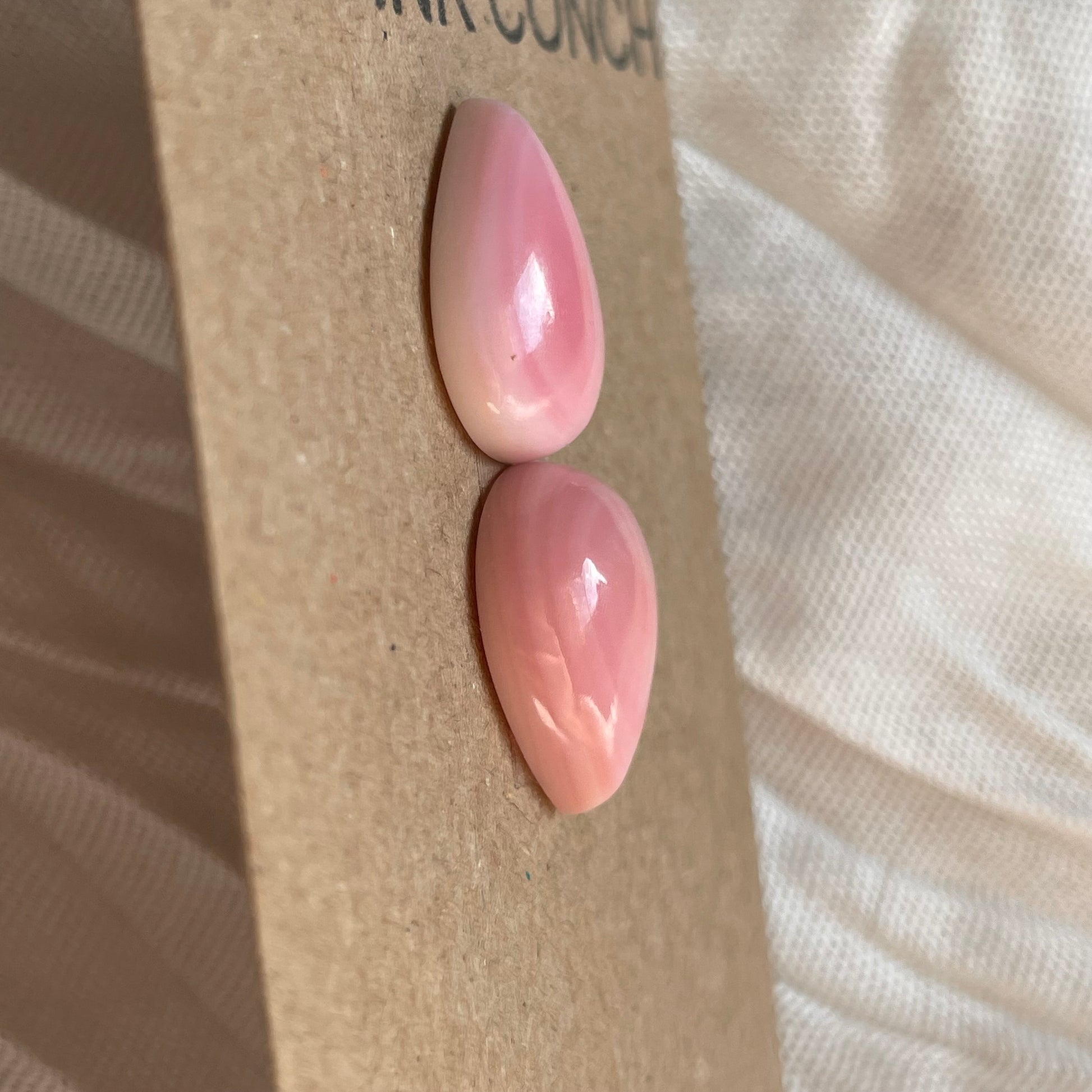 Pink Conch Cabochon - PC59 77D268E6-BC6E-422A-99B9-84BCE4B50A47 Brandedandwild.com