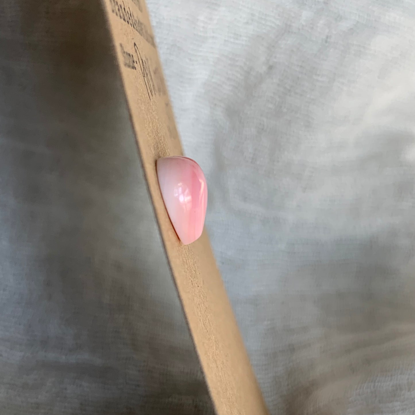Pink Conch Cabochon - PC30