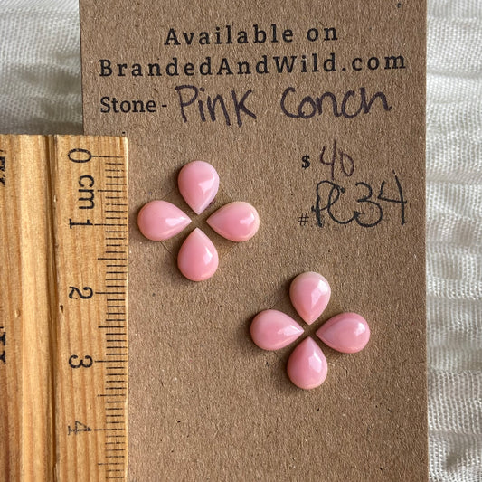 Pink Conch Cabochon - PC34 77F3A8EE-4674-46EC-A455-325381BBE6CC Brandedandwild.com
