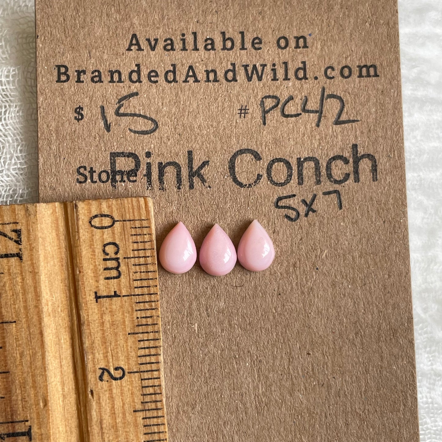 Pink Conch Cabochon - PC42